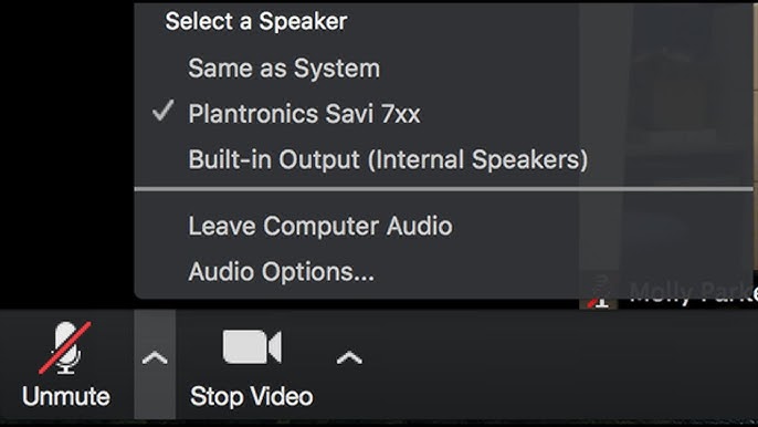 Fix Your Zoom Mic and Speaker Audio Issues in Minutes