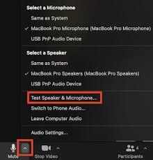 zoom-speaker